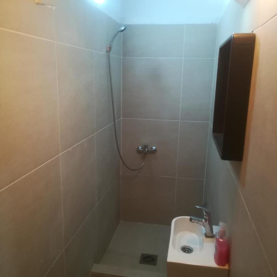 Suvi Centar Apartment Nis Bagian luar foto