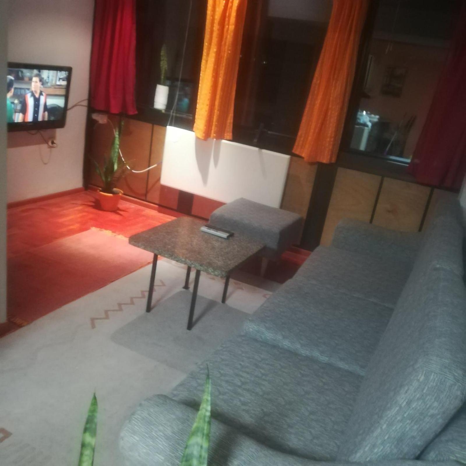 Suvi Centar Apartment Nis Bagian luar foto