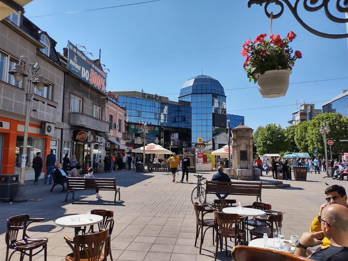Suvi Centar Apartment Nis Bagian luar foto